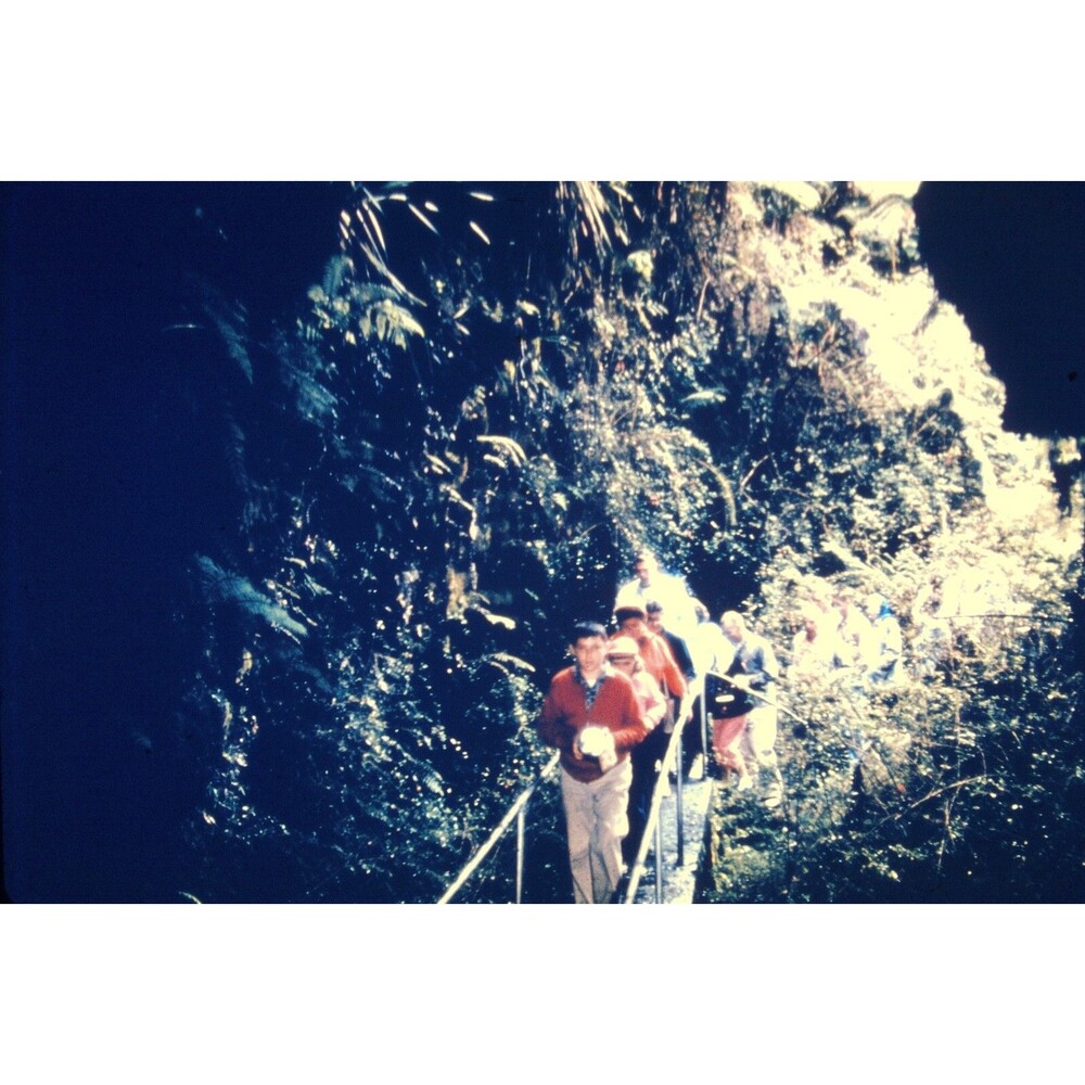 Original 1961 35mm Slide, "Thurston Lava Tube", Hawaii